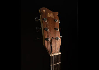 Pala de guitarra eléctrica Luthier Ale Gard